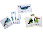 jogo soletrando grow 01690