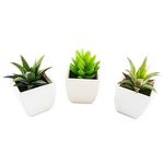 conjunto de plantas artificiais latcor 3 peças plástico branco - bx-asst1