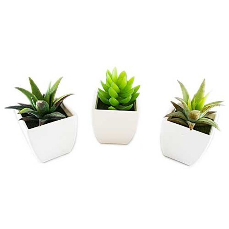 conjunto de plantas artificiais latcor 3 peças plástico branco - bx-asst1