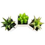 conjunto de plantas artificiais latcor 3 peças plástico branco - bx-asst1