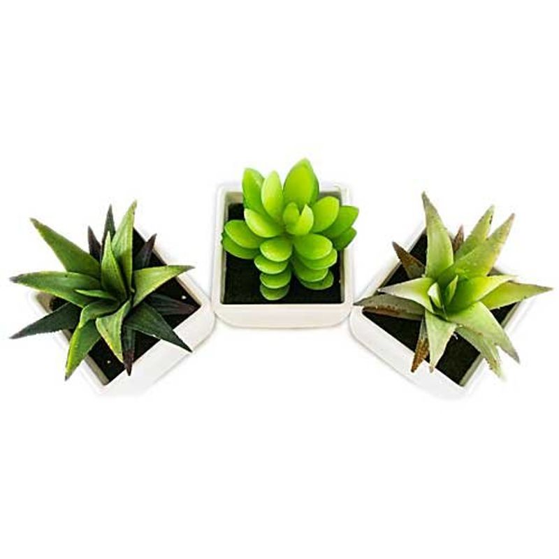 conjunto de plantas artificiais latcor 3 peças plástico branco - bx-asst1