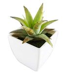 conjunto de plantas artificiais latcor 3 peças plástico branco - bx-asst1