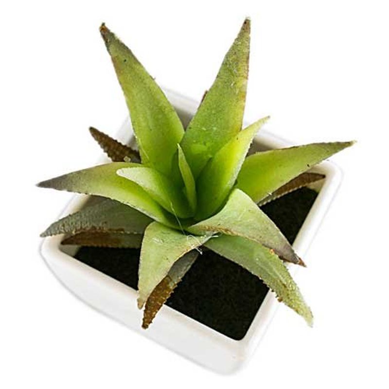 conjunto de plantas artificiais latcor 3 peças plástico branco - bx-asst1