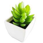 conjunto de plantas artificiais latcor 3 peças plástico branco - bx-asst1