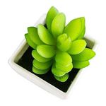 conjunto de plantas artificiais latcor 3 peças plástico branco - bx-asst1
