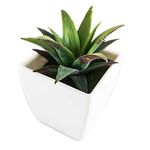 conjunto de plantas artificiais latcor 3 peças plástico branco - bx-asst1