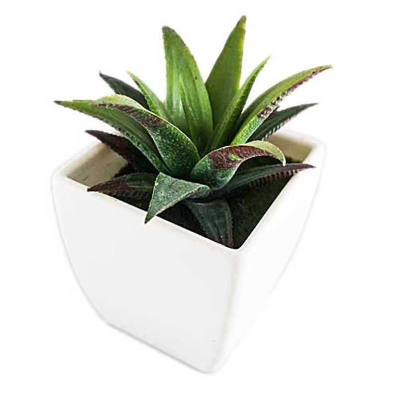 conjunto de plantas artificiais latcor 3 peças plástico branco - bx-asst1