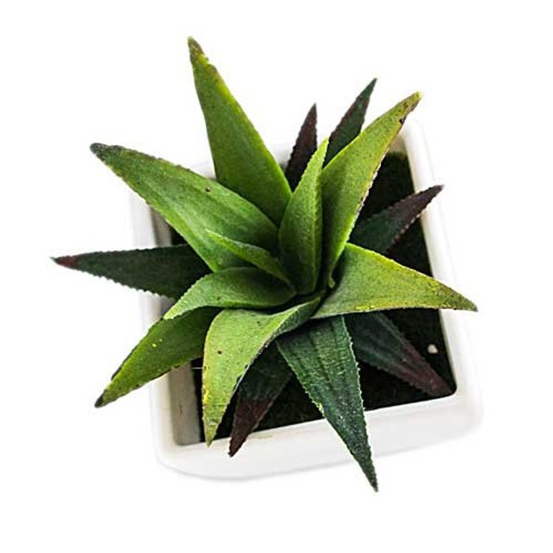 conjunto de plantas artificiais latcor 3 peças plástico branco - bx-asst1