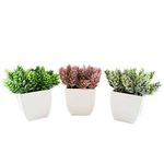 conjunto de plantas artificiais latcor 3 peças plástico branco - bx-asst17