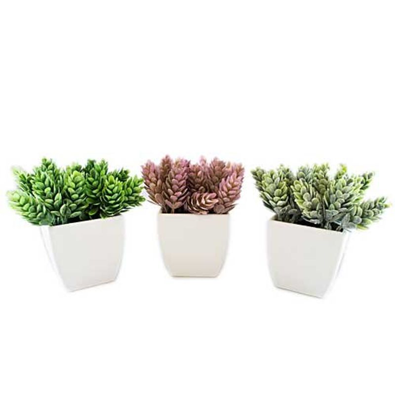 conjunto de plantas artificiais latcor 3 peças plástico branco - bx-asst17