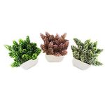 conjunto de plantas artificiais latcor 3 peças plástico branco - bx-asst17