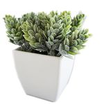 conjunto de plantas artificiais latcor 3 peças plástico branco - bx-asst17