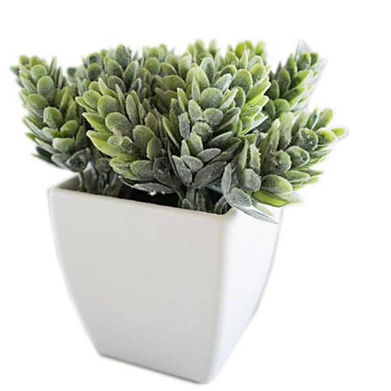 conjunto de plantas artificiais latcor 3 peças plástico branco - bx-asst17