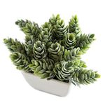 conjunto de plantas artificiais latcor 3 peças plástico branco - bx-asst17