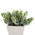 conjunto de plantas artificiais latcor 3 peças plástico branco - bx-asst17