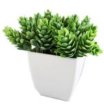 conjunto de plantas artificiais latcor 3 peças plástico branco - bx-asst17