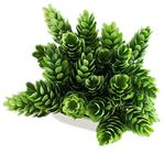 conjunto de plantas artificiais latcor 3 peças plástico branco - bx-asst17
