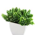 conjunto de plantas artificiais latcor 3 peças plástico branco - bx-asst17