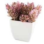 conjunto de plantas artificiais latcor 3 peças plástico branco - bx-asst17