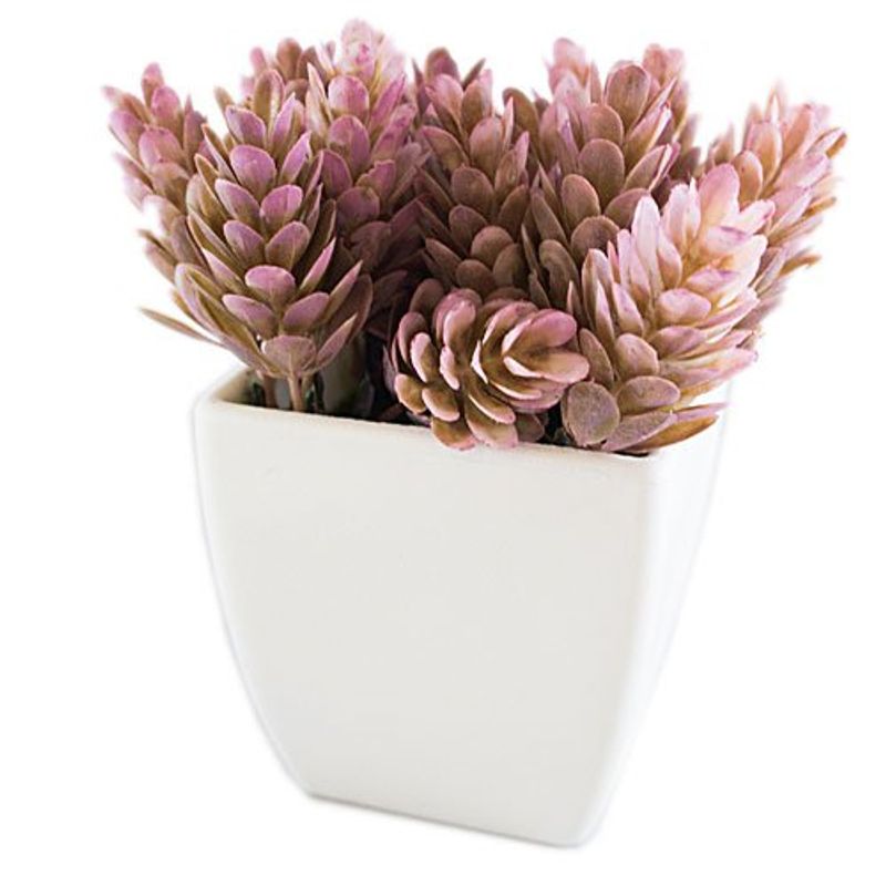 conjunto de plantas artificiais latcor 3 peças plástico branco - bx-asst17
