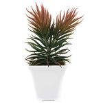conjunto mini plantas artificiais 2 peças latcor, de plástico - bx-asst62
