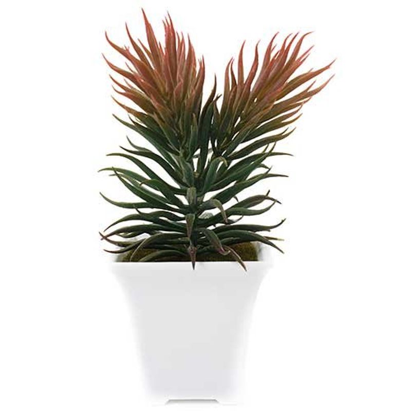 conjunto mini plantas artificiais 2 peças latcor, de plástico - bx-asst62