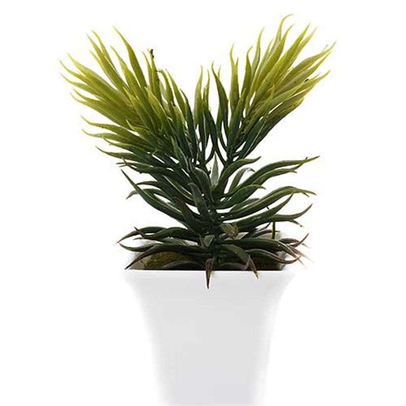conjunto mini plantas artificiais 2 peças latcor, de plástico - bx-asst62