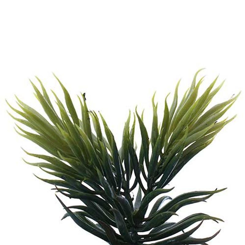 conjunto mini plantas artificiais 2 peças latcor, de plástico - bx-asst62