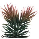 conjunto mini plantas artificiais 2 peças latcor, de plástico - bx-asst62