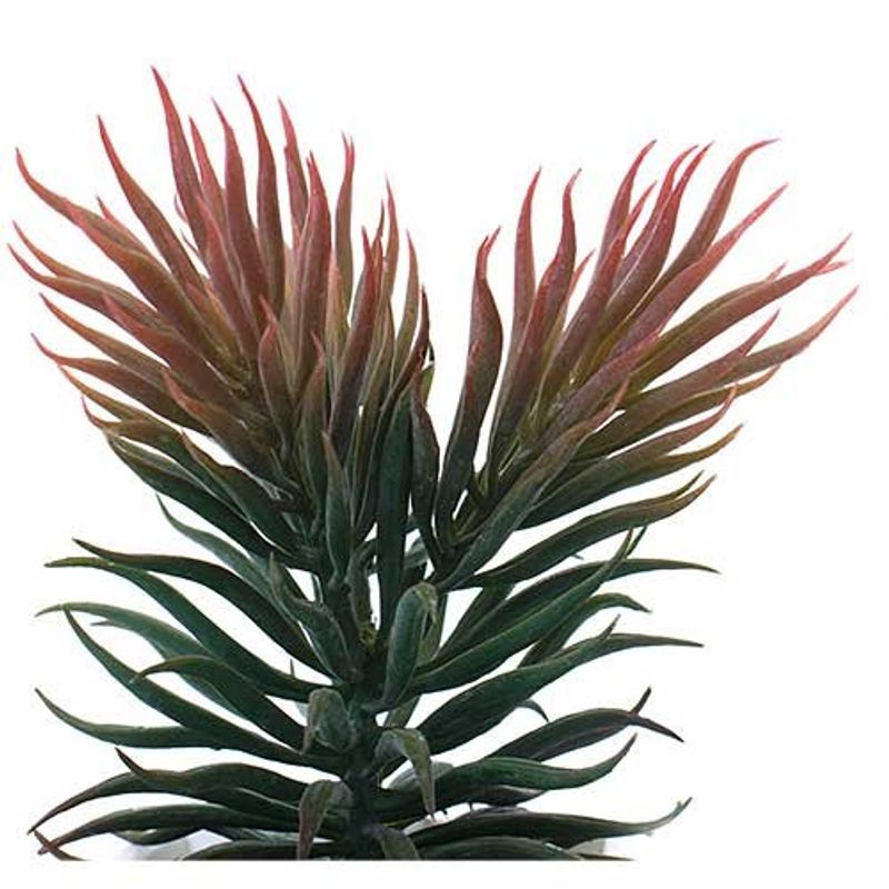 conjunto mini plantas artificiais 2 peças latcor, de plástico - bx-asst62