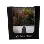 conjunto mini plantas artificiais 2 peças latcor, de plástico - bx-asst62