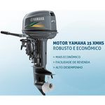 motor de popa yamaha 30hmhs 2 tempos cinza