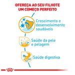 ração royal canin para cães filhotes da raça shih tzu 1kg (mp)