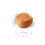 ração royal canin para cães adultos da raça yorkshire terrier 1kg (mp)