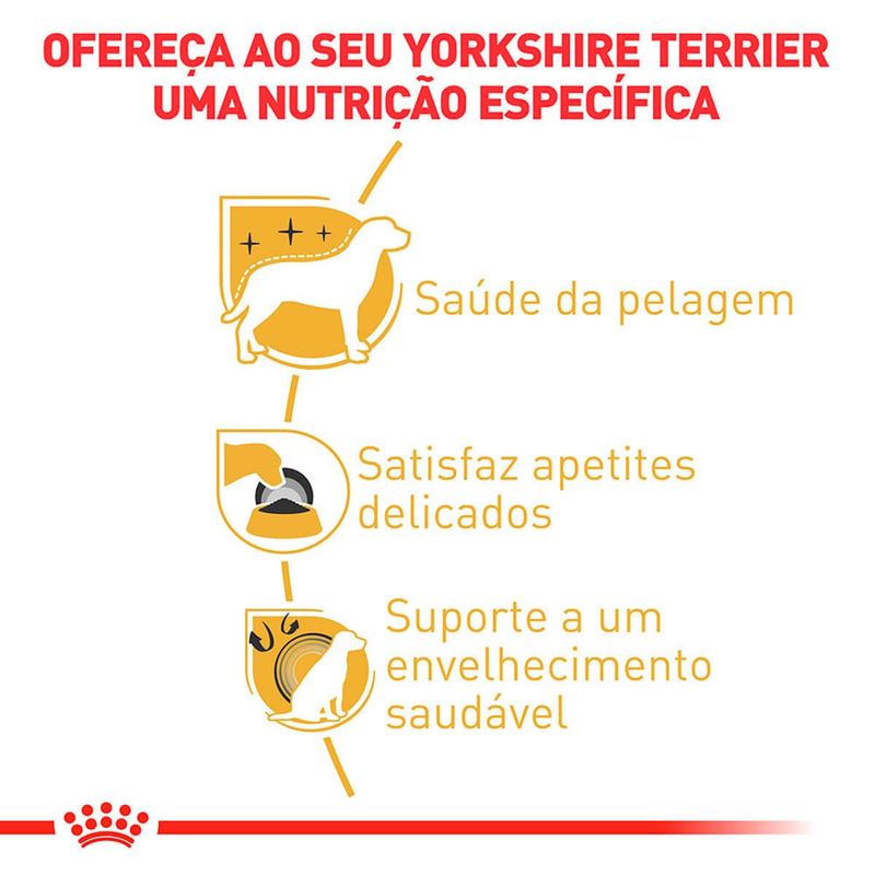 ração royal canin para cães adultos da raça yorkshire terrier 1kg (mp)