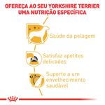 ração royal canin para cães adultos da raça yorkshire terrier 2,5kg (mp)