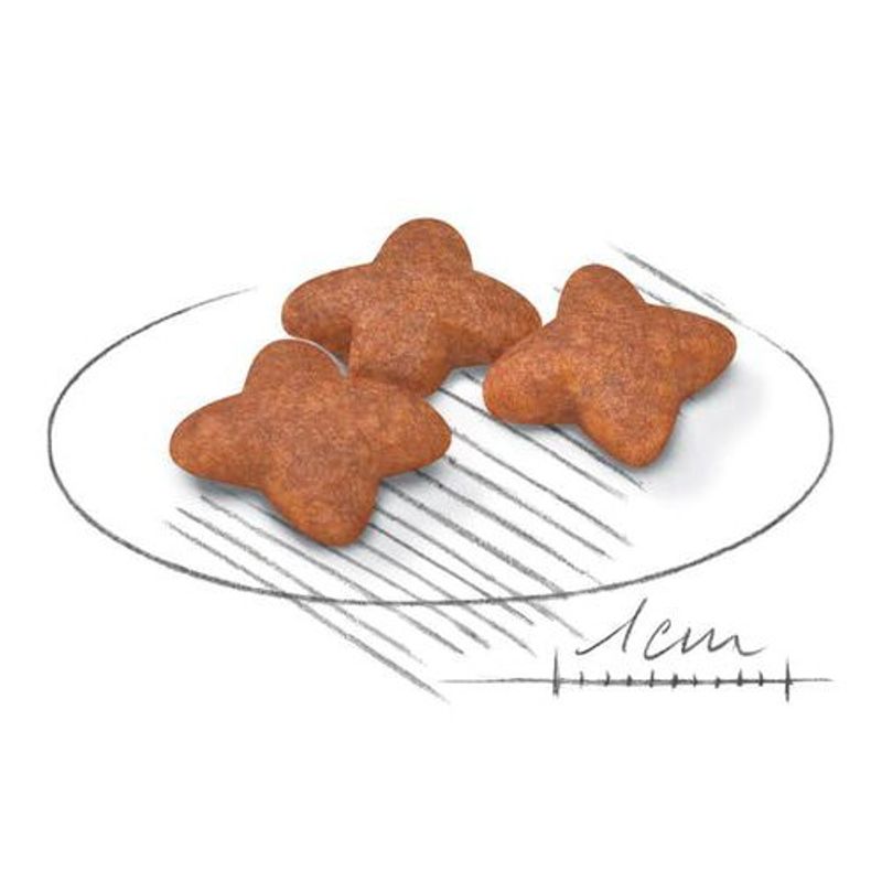 ração royal canin para cães adultos da raça mini 1kg (mp)