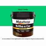 tinta acrílica hidrotintas standard semibrilho 15l brilho e cor maçã verde (mp)
