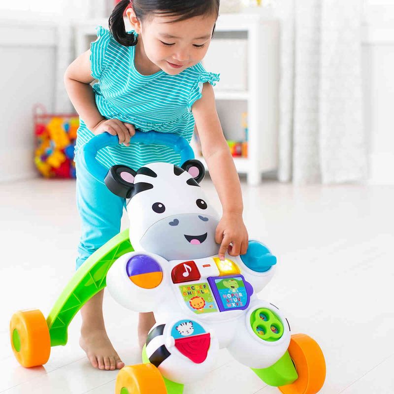 apoiador fisher price zebra com atividade dlh48