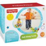 brinquedo tartaruga com passear fisher price mattel y8652 plástico