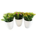 conjunto de plantas artificiais latcor 3 peças plástico branco - bx-asst5