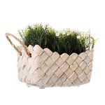 planta artificial latcor bx-47520/st58
