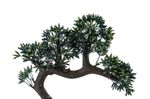 planta artificial bonsai latcor, de plástico, cinza e verde - bx-47270/st57