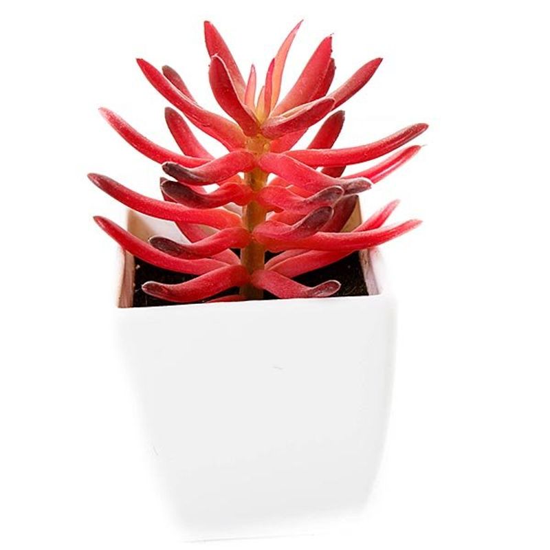 conjunto mini plantas artificias com vaso latcor 3 peças, de plástico - bx-asst18