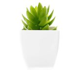 conjunto mini plantas artificias com vaso latcor 3 peças, de plástico - bx-asst18