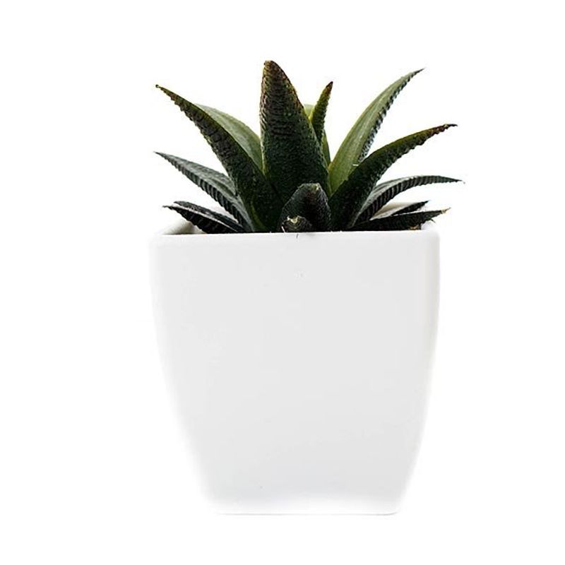 conjunto mini plantas artificias com vaso latcor 3 peças, de plástico - bx-asst18