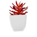 conjunto mini plantas artificias com vaso latcor 3 peças, de plástico - bx-asst18