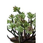 planta artificial latcor, de plástico - bx-43675/y15-01