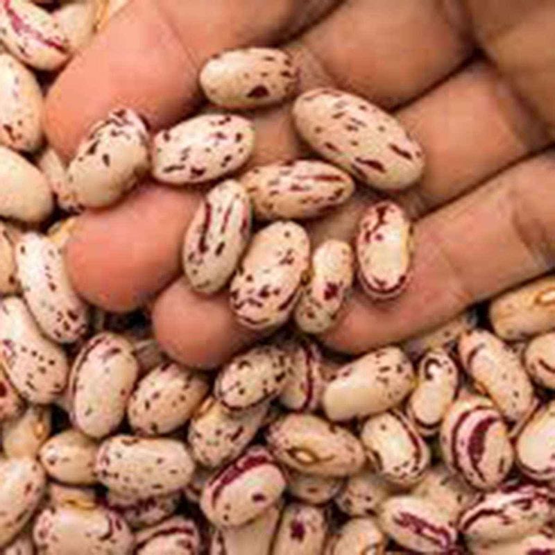 feijão rajado dona dê 500g
