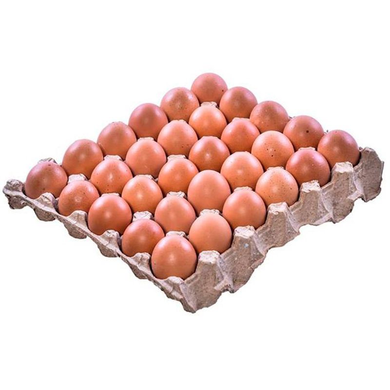 ovos são pedro vermelho tamanho a - 30 unidades